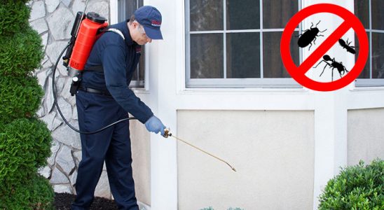 Harmandalı Tahtakurusu İlaçlama böcek ilaçlama ve haşere kontrolü — ilaclama-tr.com